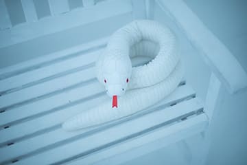 人形（シロヘビ）