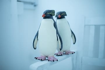 人形（イワトビ）